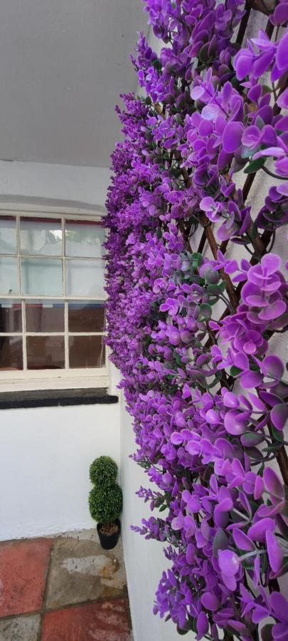 Diamond Harbour - Whole Huge Apartment - Wifi - Beach - Ramsgate Town المظهر الخارجي الصورة